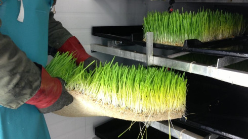 Acquire  Farmory and Reap the Harvest