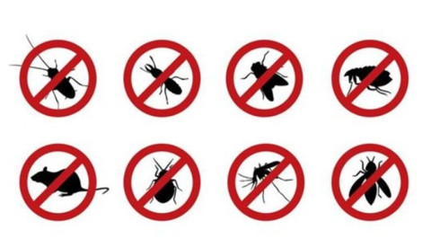 Under Contract Pest Control Business for Sale