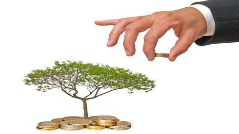 Lines of Credit Needed