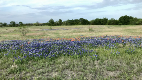 Ellis Co., Texas Land Offering High Profit Gains