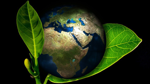 Environmental Services Consulting in Dallas Metro