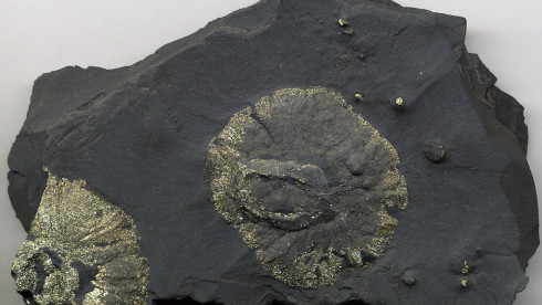 High Grade Pyrite for Sale – Pakistan