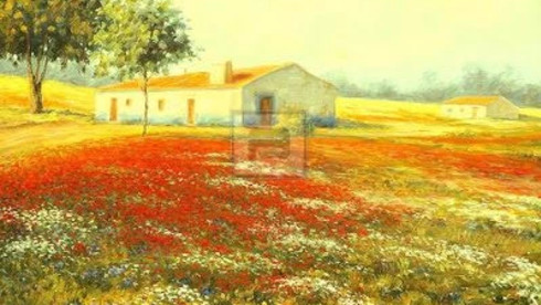 Property 625 Ha Portugal - Investment opportunity