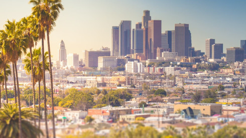 Large, Modern LA County Vet Hospital for Sale