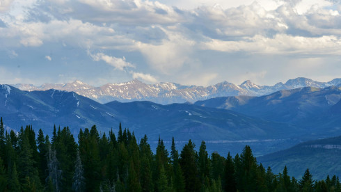 Profitable Environmental Consulting Firm