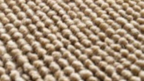 Carpet Cleaning Business