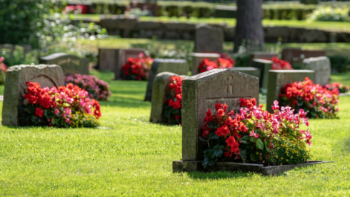 Cemetery Operation with Growth