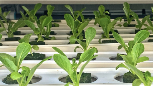 Industry Leading Agtech Farming Manufacturer