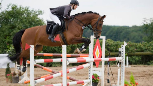 50+ Year Old Hunter & Jumper Equestrian Specialty Retailer