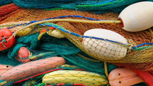 Turnkey Seafood Wholesaler with Real Estate