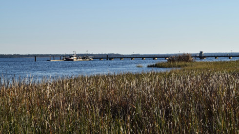 Established CPA Firm in SC - Motivated Seller