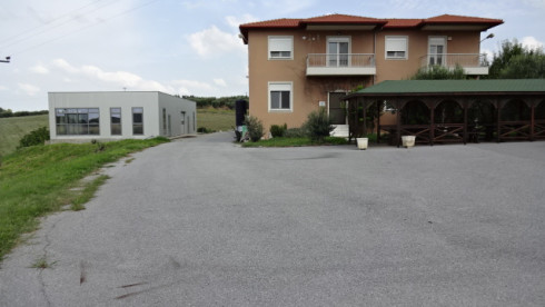 Family Winery in Halkidiki Looking for Partners