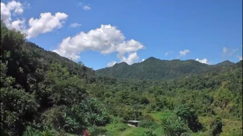 Untapped Potential of a Coffee Paradise