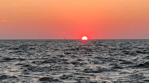 Turnaround Opportunities