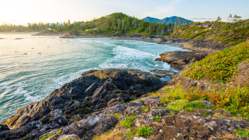 British Columbia Tax Firm - Strong Cash Flow