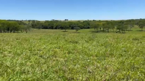 1074,91 Acre Ranch for Sale – Paraguay