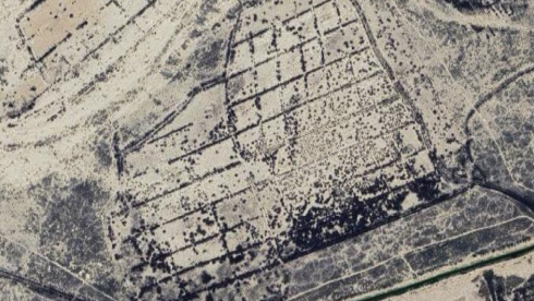 Ready-Made Agricultural Business For Sale