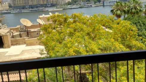 Apartment 350 sqm Nile View in Zamalek, Cairo