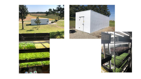 Opportunity to Own A Green Business  Vertical Farm