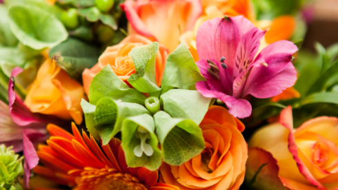 Reduced Price for Established Retail Florist