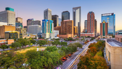 Established & Profitable Vet Clinic-Houston