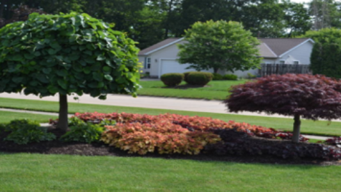 Very Stable Landscaping and Tree Service Business