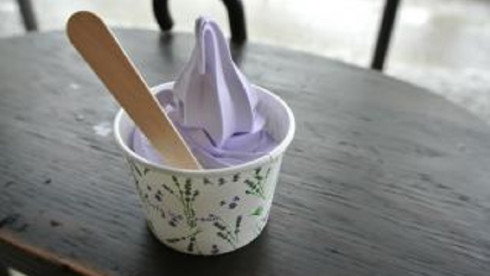 Frozen Yogurt Shop for Sale in PA