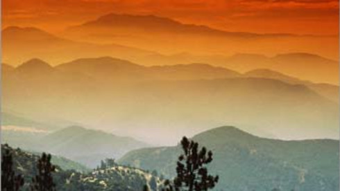 Optometry Practice For Sale Grossing $900K