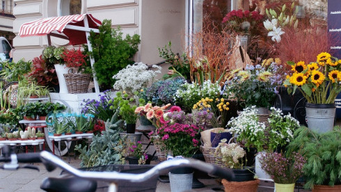 Florist Business For Sale in New Jersey