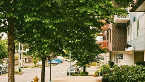 Downtown Redmond, WA Family Chiropractic Practice