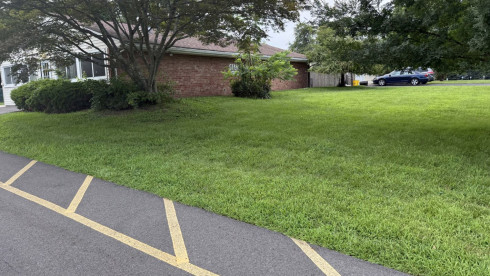 Day Care & Real Estate