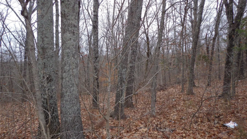 Vacant Lot in the Highly Desirable Community!