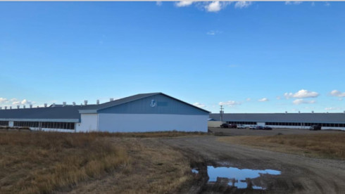 Cannabis EU-GMP Certification Q1 2026. Canada Hub