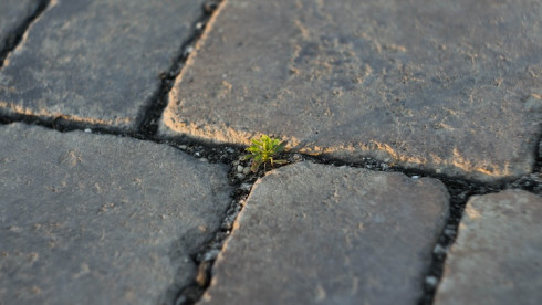 Paving/Asphalt Lead Generator Business in New York