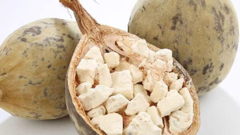 Organic Baobab Fruit 21,57 Free Shipping