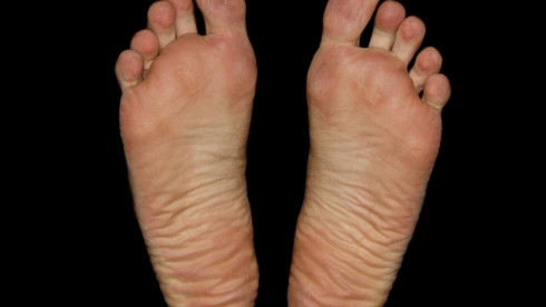 Podiatry Practice for Sale (Owner Financing)