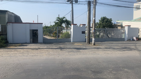 Fully Operational Cashew Kernel Production Unit