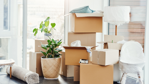 Family-Owned Moving Business | Palm Beach County