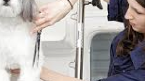 From Dull to Dazzling