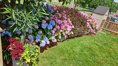 Residential Landscaping, Snow Removal