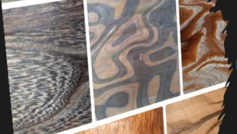 Wood Export Business Including $2.5M Assets