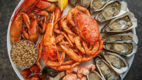 Premium Seafood Processing Facility