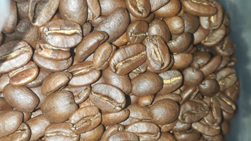 Premium Green Coffee Origin Puebla