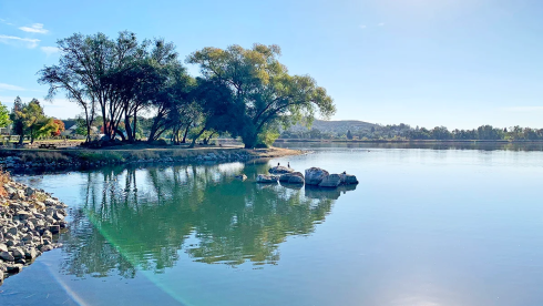 Cameron Park, CA Chiropractic Practice For Sale