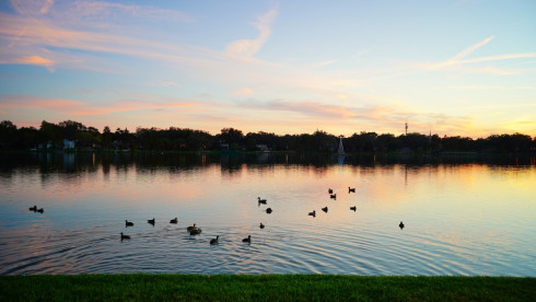 Tampa FL Hybrid CPA Firm with Strong Cash Flow