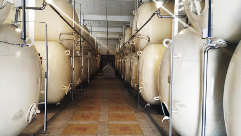 Cognac Factory for Sale in Kazakhstan: Perfect Opp