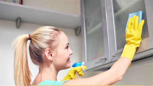 Established ECO Cleaning Business