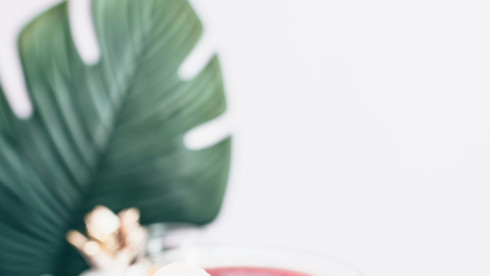 Wine Franchise Event Business