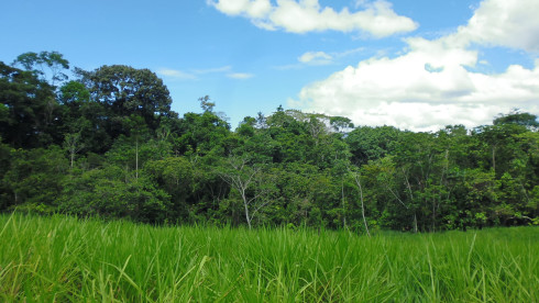 Excellent Opportunity To Selfsupporting Farm