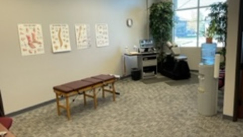 BridgeTower Chiropractic in Meridian, ID for sale